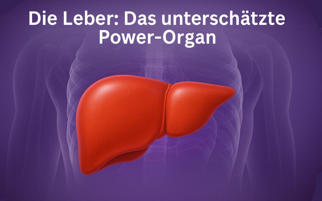 Die Leber: Das unterschätzte Power‑Organ und wie wir sie im Alltag unterstützen können